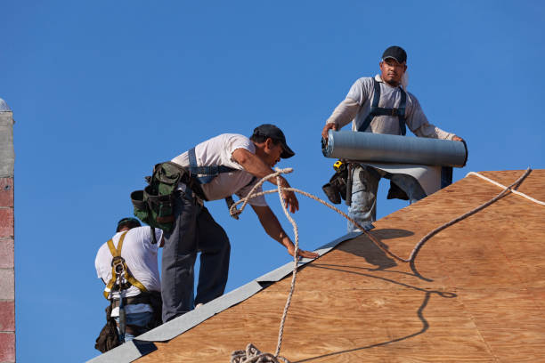 Best Local Roofing Companies  in High Bridge, WA